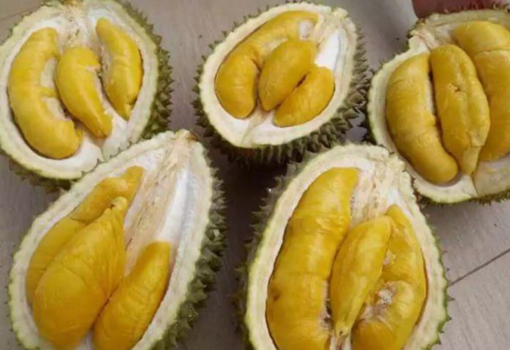 Wushan King Durian AAA S9