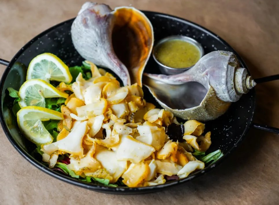 Cold conch salad